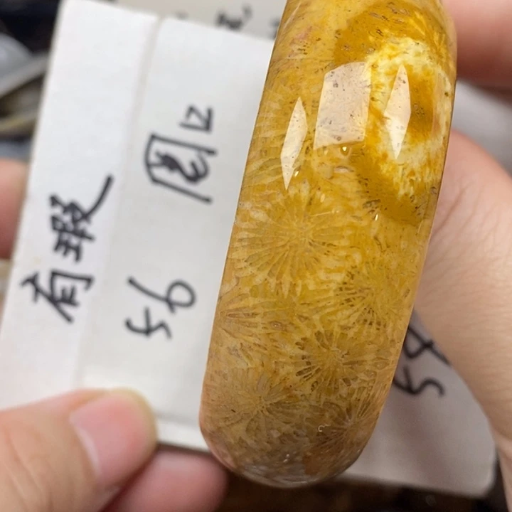 硅化珊瑚（珊瑚玉）未镶嵌颈饰