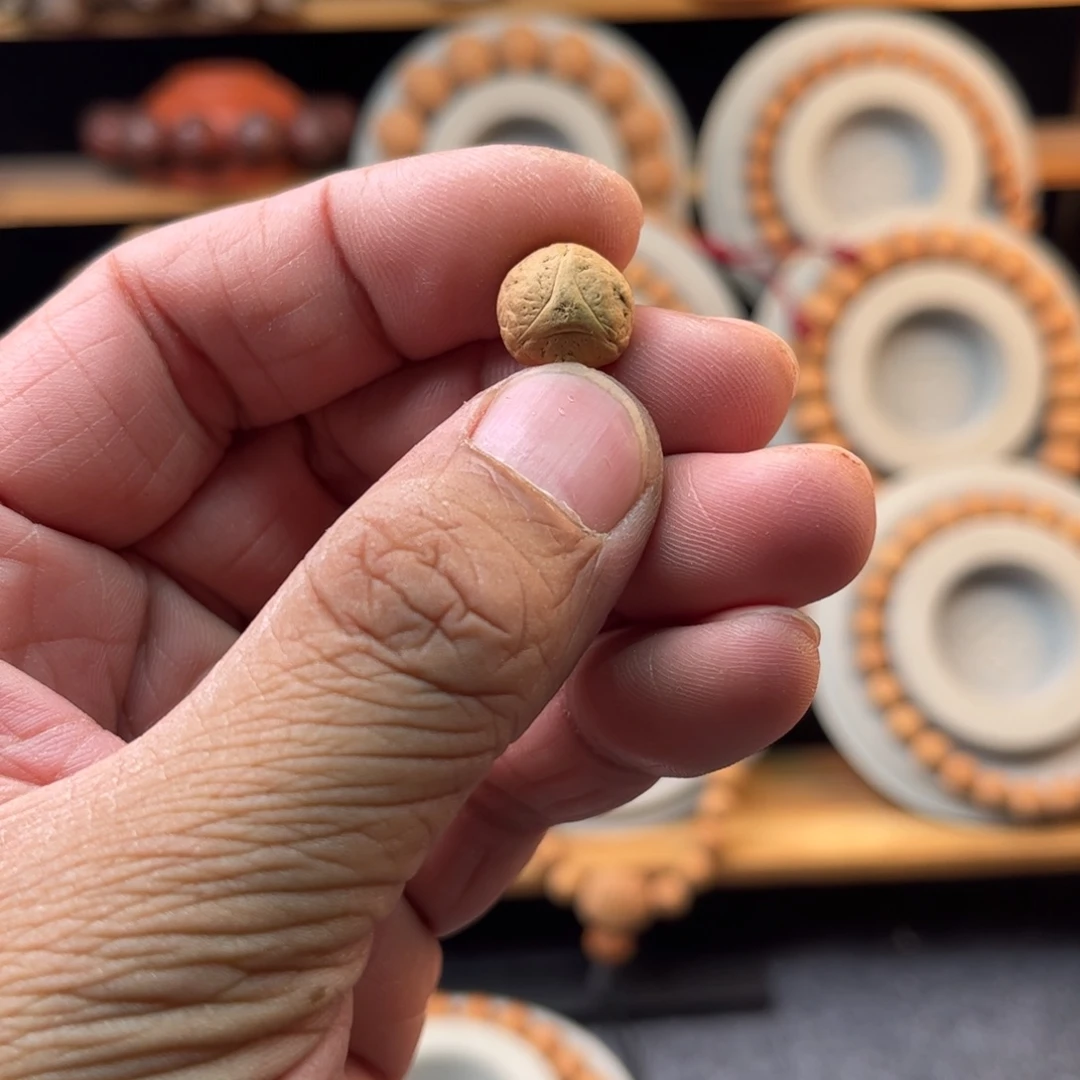 凤眼菩提吊坠12.2龙眼一颗