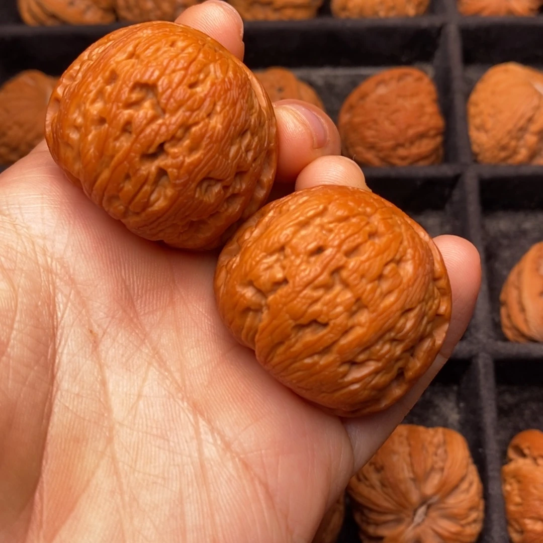 秦岭野生文玩核桃