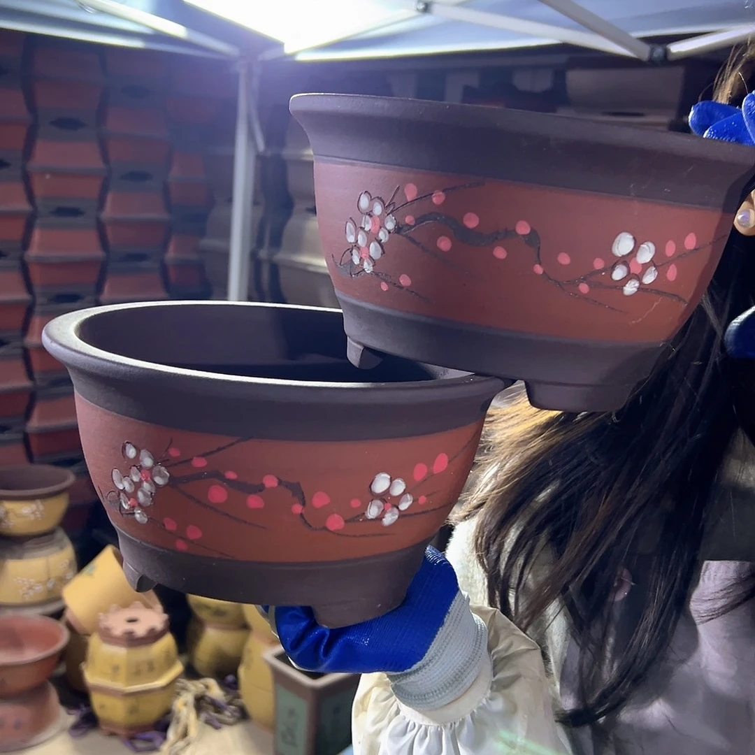 红富贵点菜中号一对