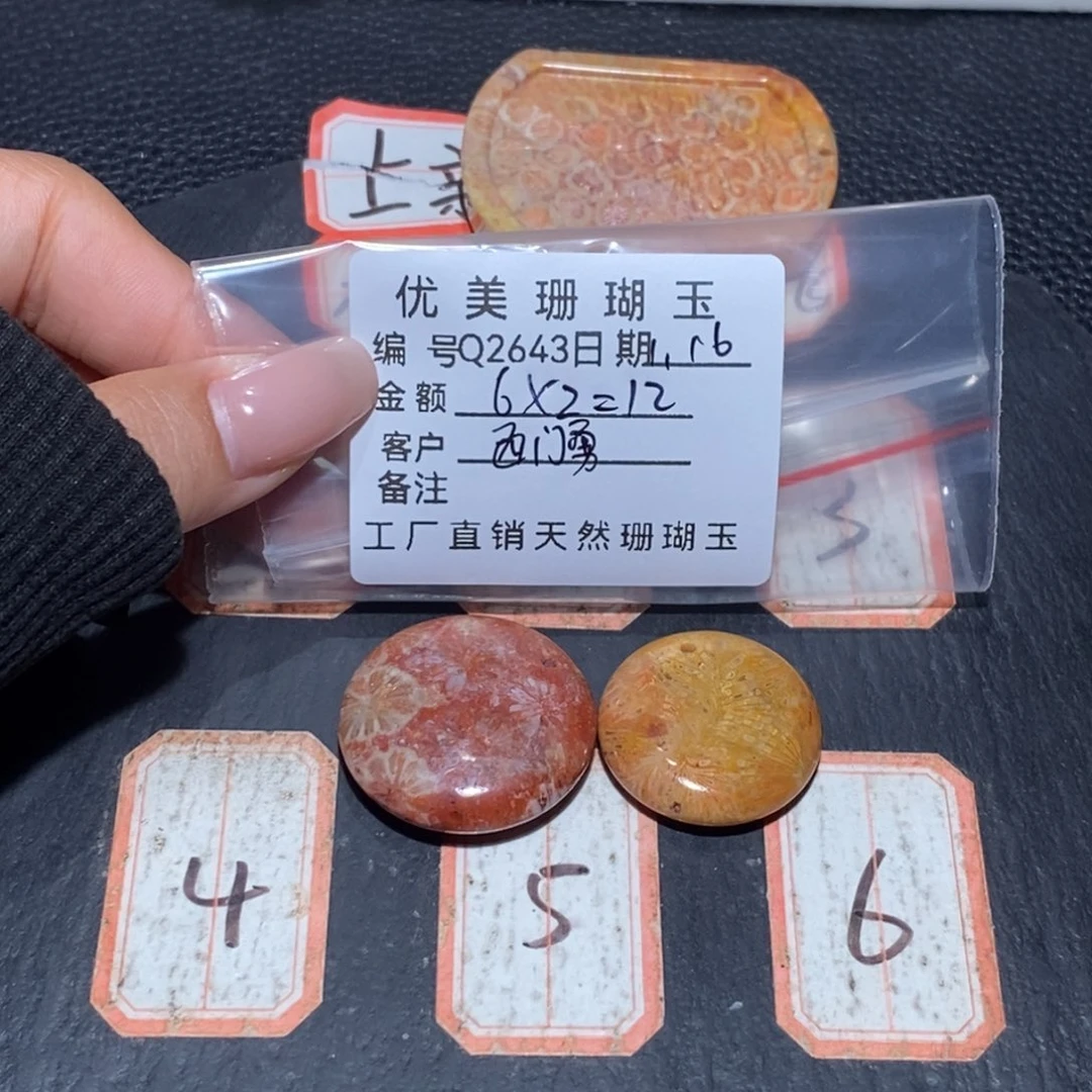 硅化珊瑚（珊瑚玉） 未镶嵌西*勇2643