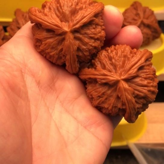 文玩核桃吊坠核桃