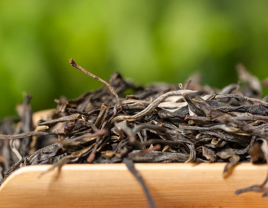 云南普洱茶2022年冰岛大树春茶生茶蜜香浓郁冰糖甜