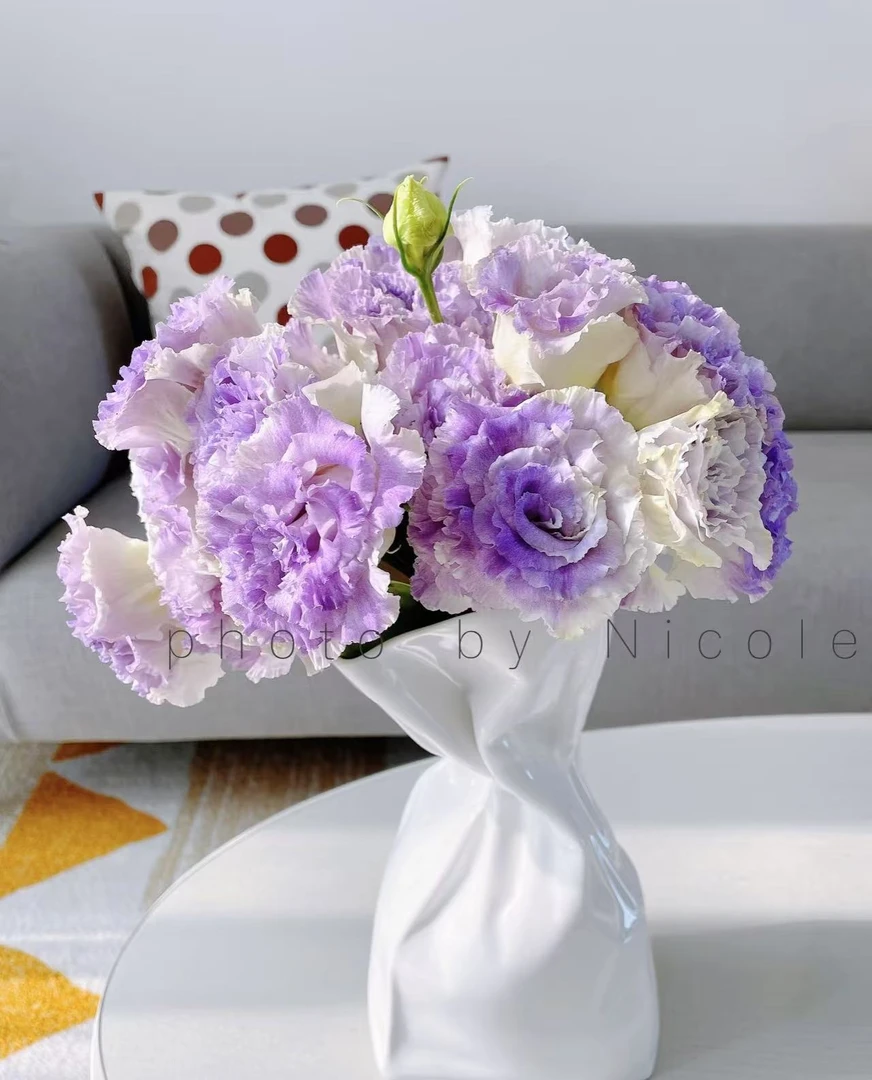 蓝雾洋桔梗一束-实物以直播间为准