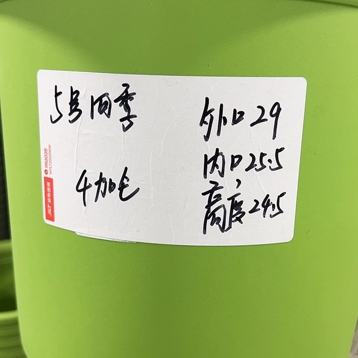 特价5号四季口29高24.5白色无托5个