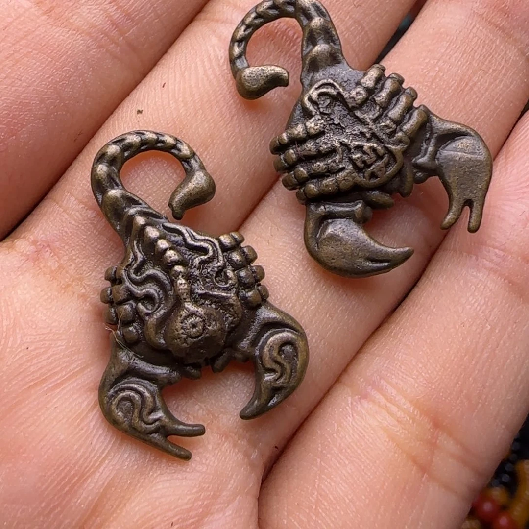 …………………………………………………………