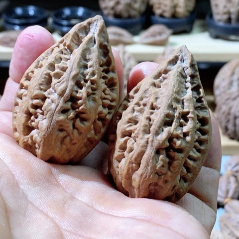 文玩核桃把件别****.核桃