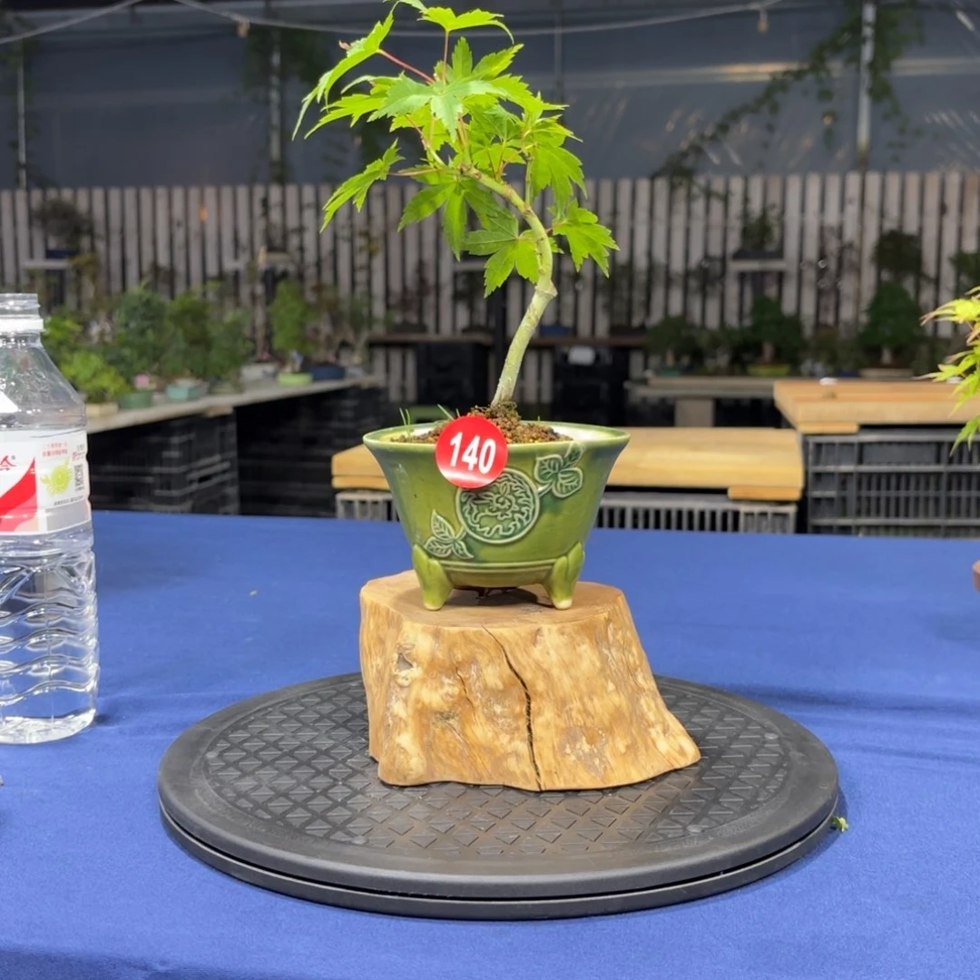 浩*大棚转让140号包邮