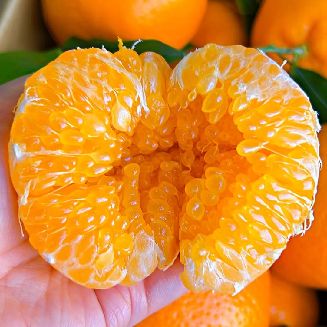 四川春见耙耙柑 6.99/斤