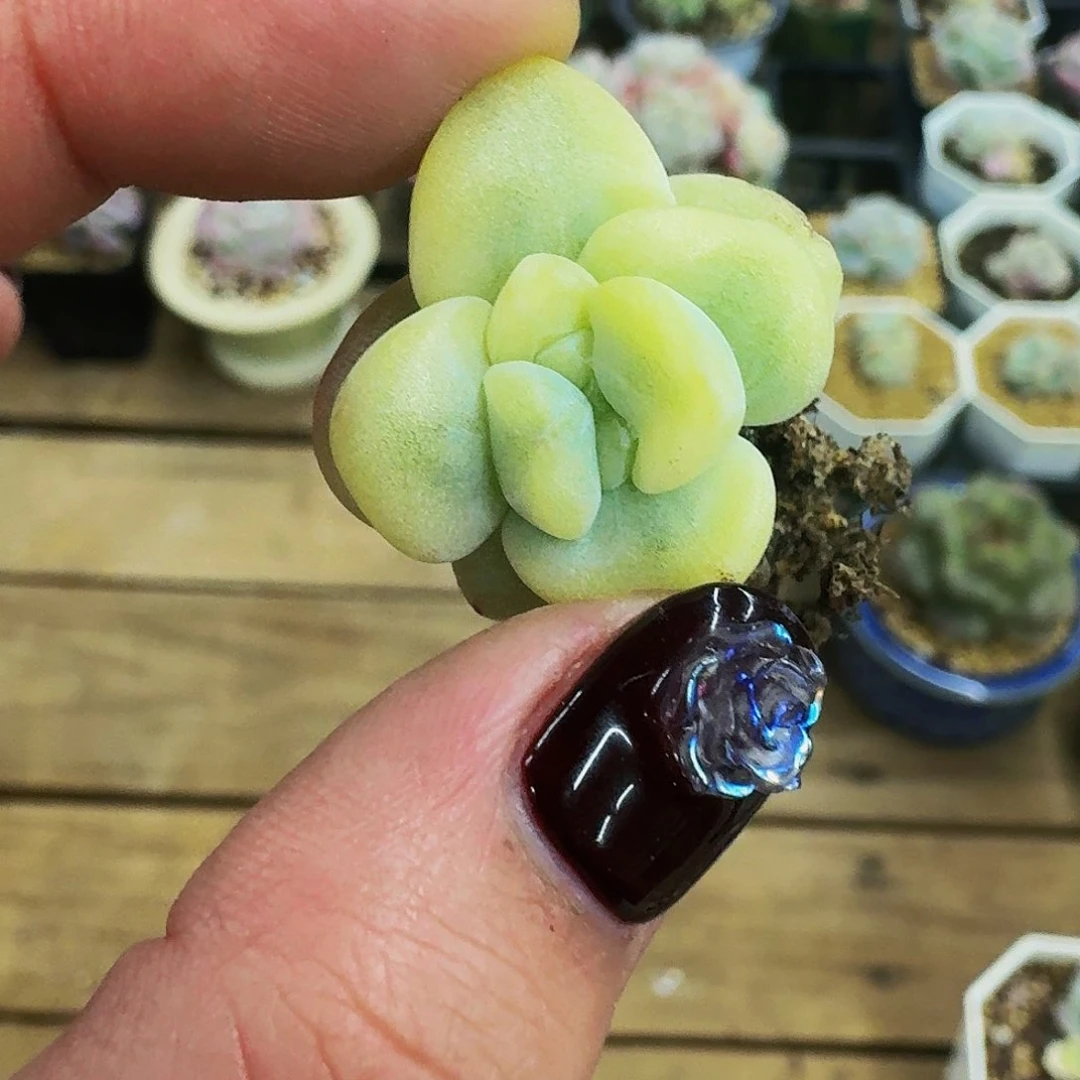 ?****?哈哈哈哈哈哈哈哈哈哈