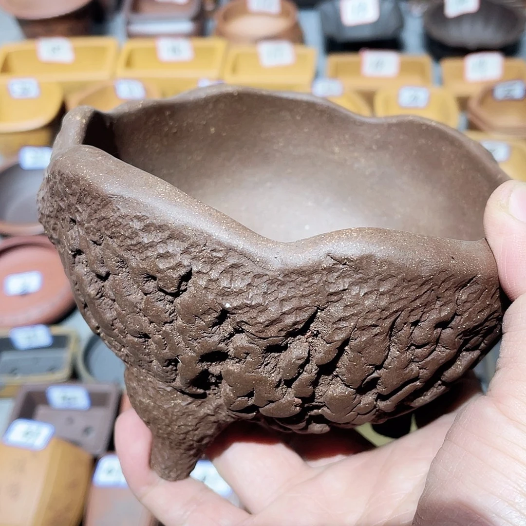 醉***侠紫砂小盆12.5cmmmmmmm