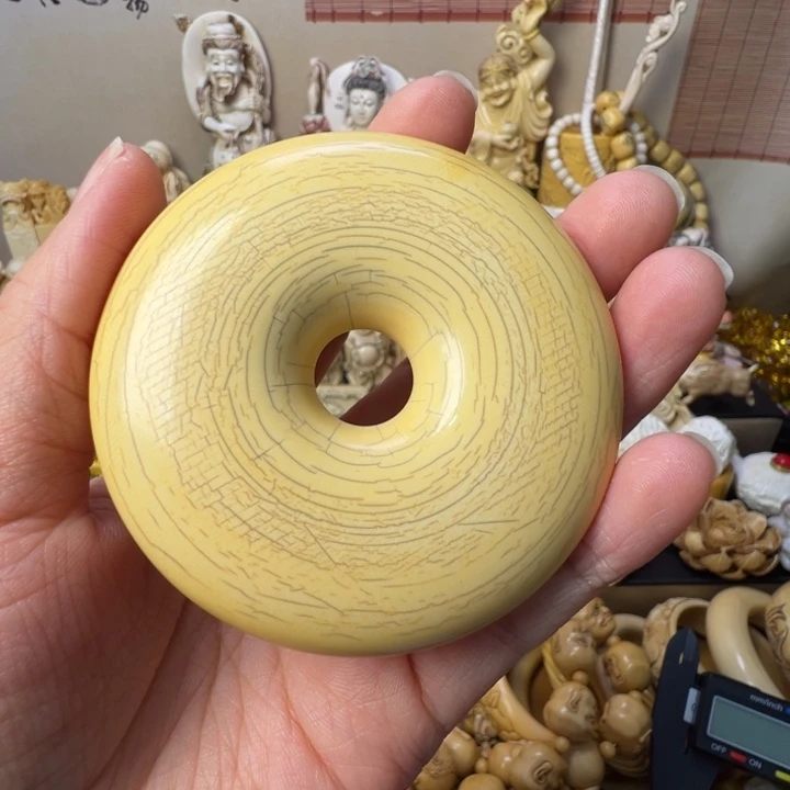 云***家猛犸象牙其他98888888