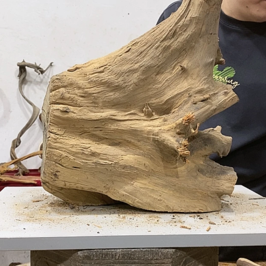 【闪购商品】柏木好**?我们都是好孩子