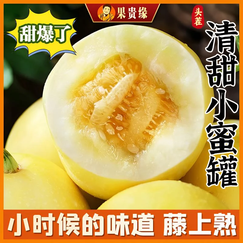 【特甜】山东头茬早甜脆小蜜罐新鲜应季小蜜蜂甜瓜香甜美味现摘水果