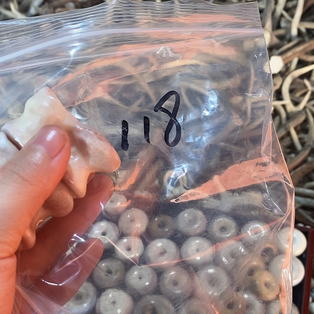 郑***非金属鹿角鹿角鹿角