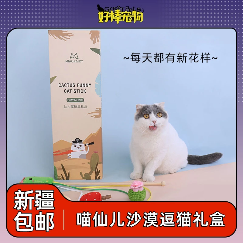只发新疆喵仙儿猫咪逗猫棒套装猫玩具仙人掌磨牙耐咬礼盒4件套