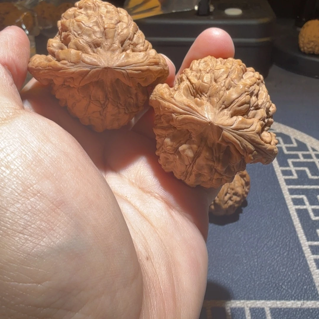 把件文玩核桃粗筋龙鼎