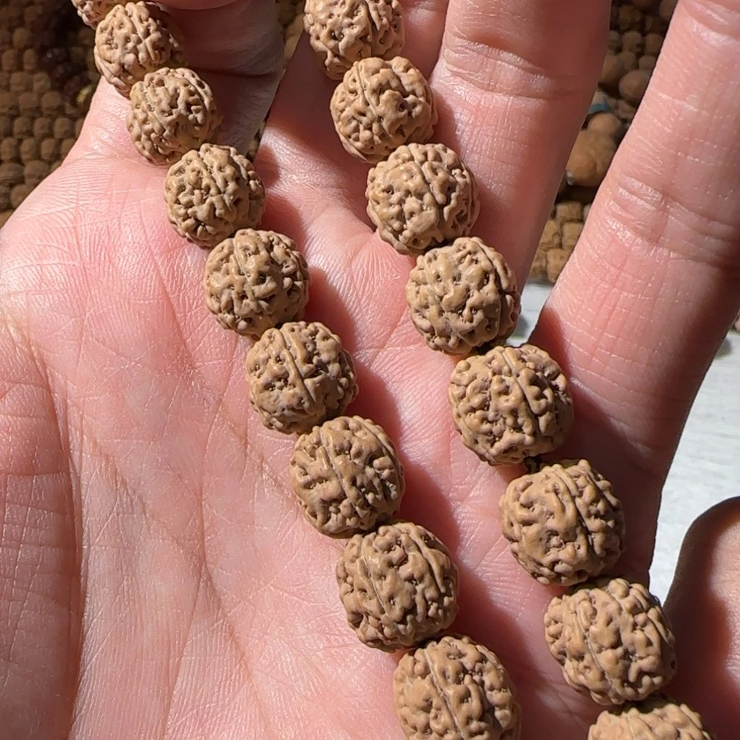 金刚菩提吊坠原籽一代盘龙单圈一等好几个➕