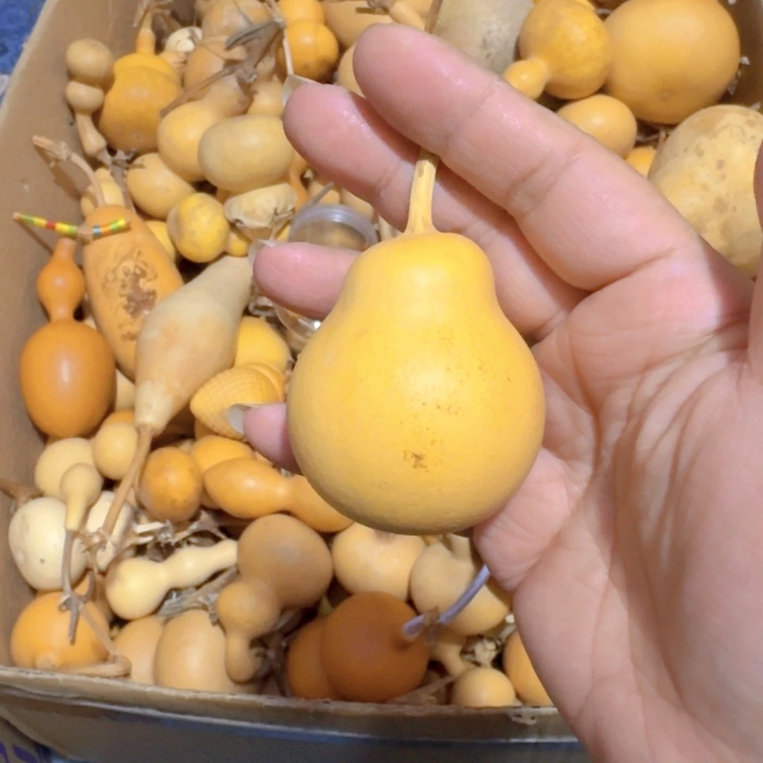 ꫞***꫞都把葫芦摆件葫芦