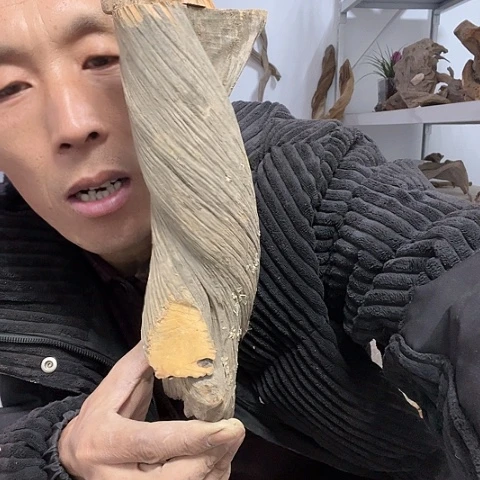 【闪购商品】柏木（崖柏）1