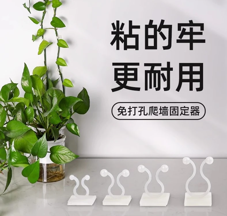 绿萝爬藤神器绿植固定器绿箩家用无痕卡扣绿枝爬藤杆夹子耐用挂钩