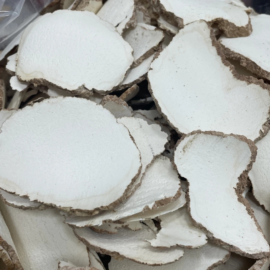 虎奶菌  菌菇 炖汤材料