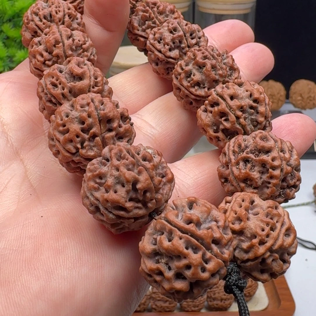 手串金刚菩提粗筋蜂窝双龙