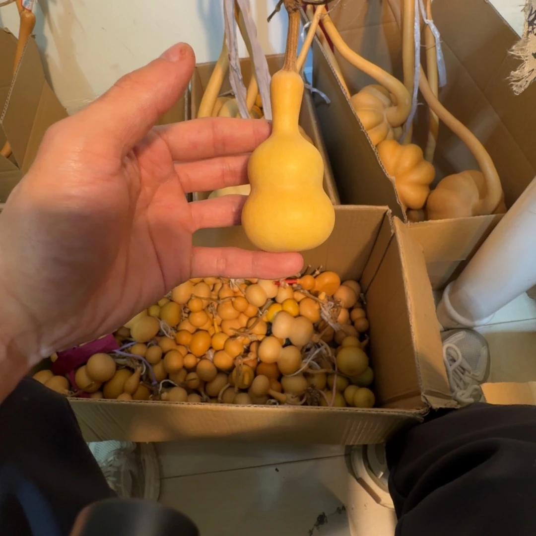 微***博葫芦1111111111111111