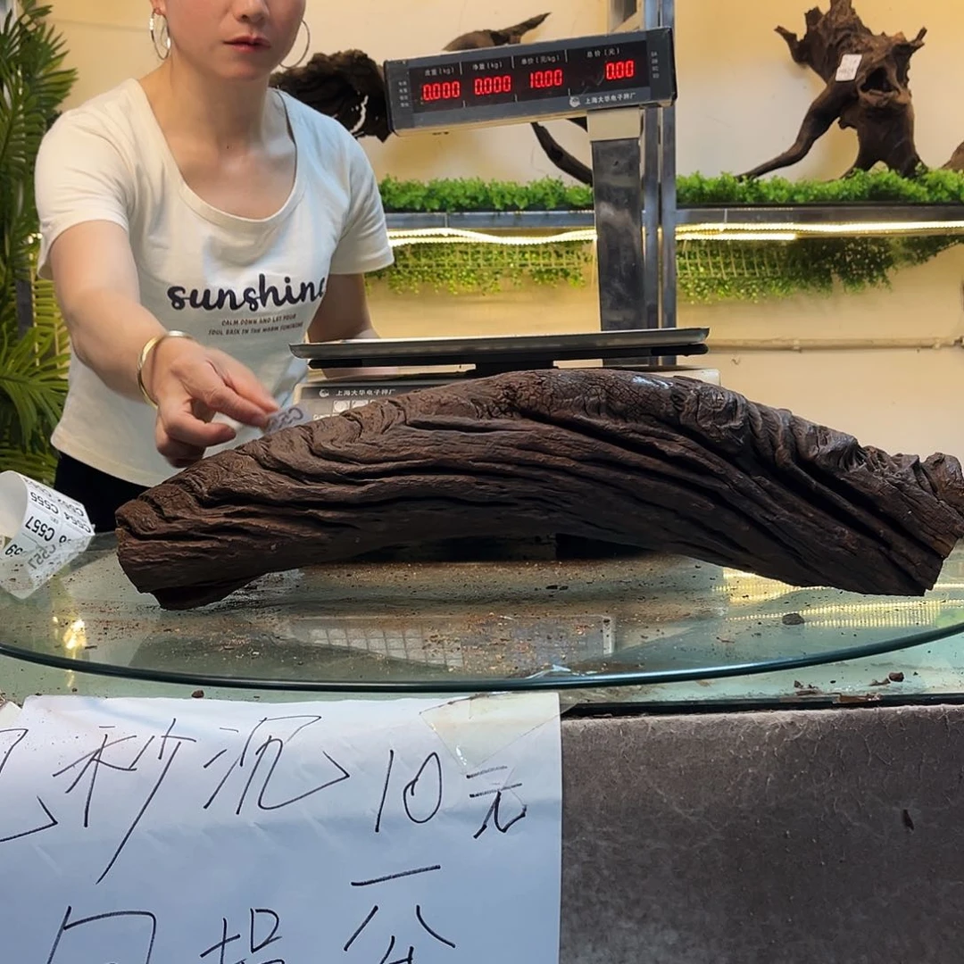 5***5柚木沉木鱼缸造景