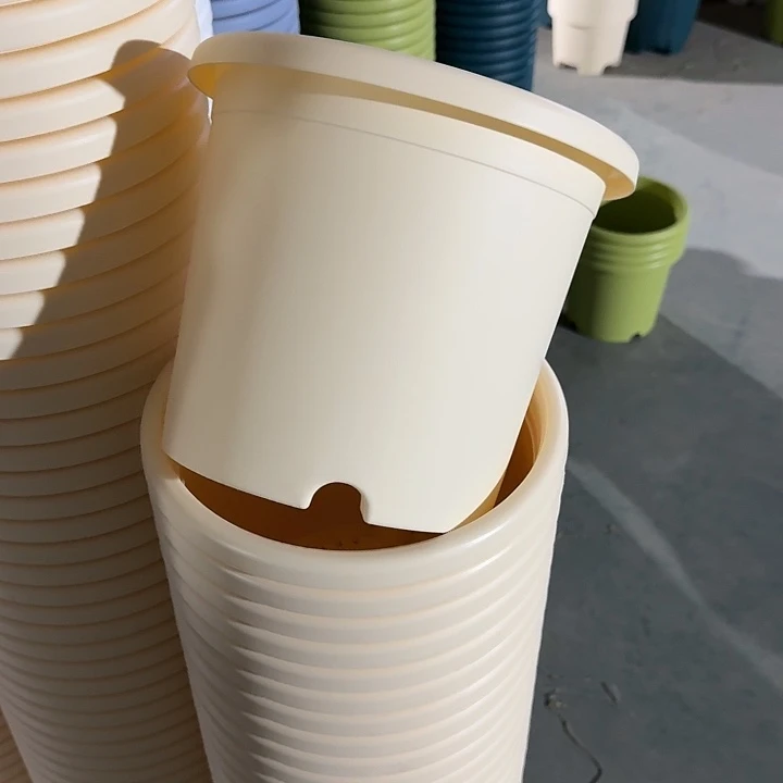 四季4#口径25米黄5个无托