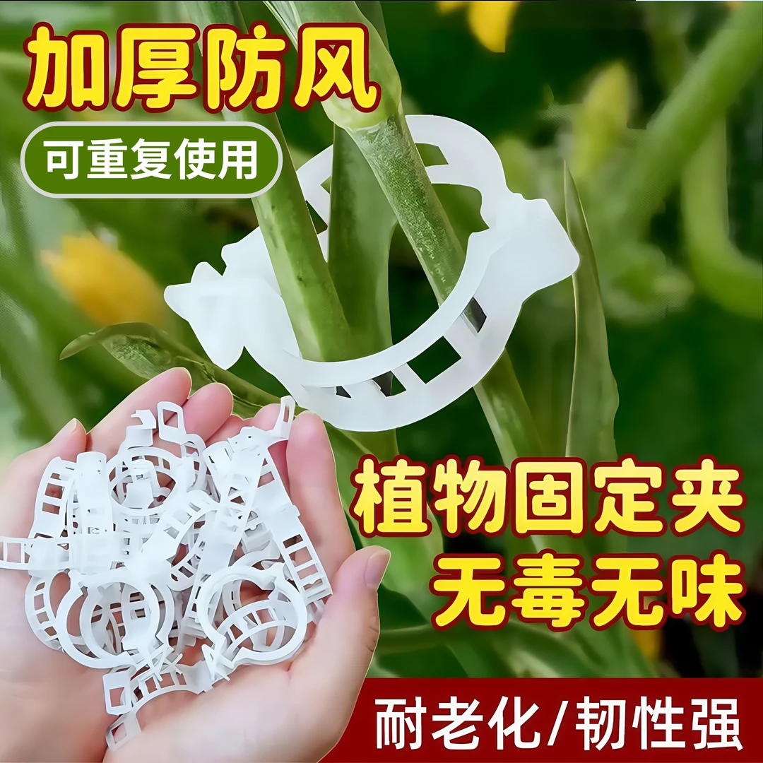 绿植固定器果树植物固定夹卡扣藤蔓秧苗爬藤支撑杆果蔬秧苗吊秧夹