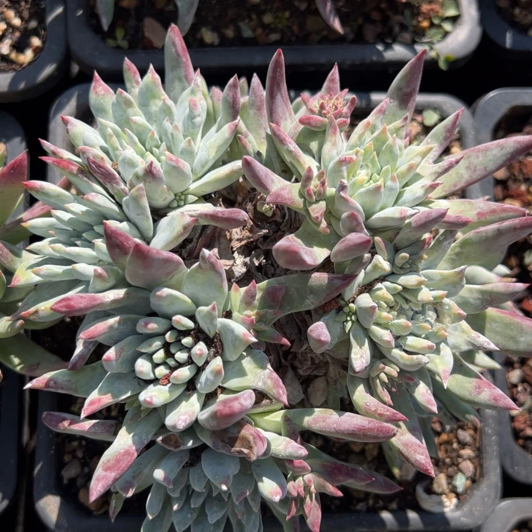 2228哈哈哈哈哈哈哈