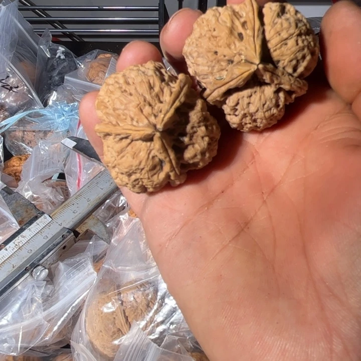 吊坠文玩核桃滇西160