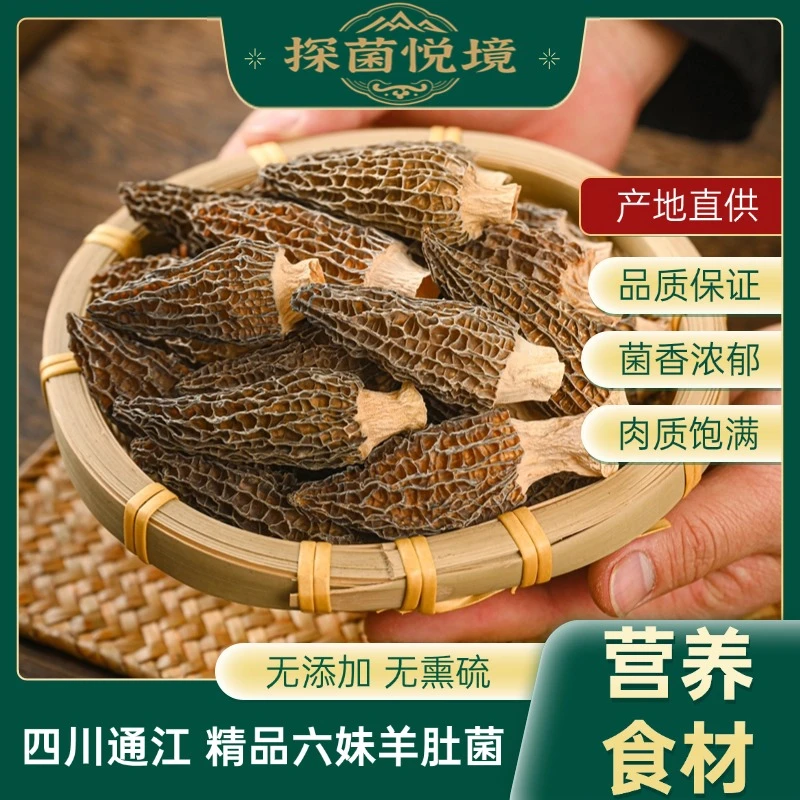 鲜味十足【六妹羊肚菌】肉质饱满菌香 营养健康烹饪煲汤鲜味食材CH