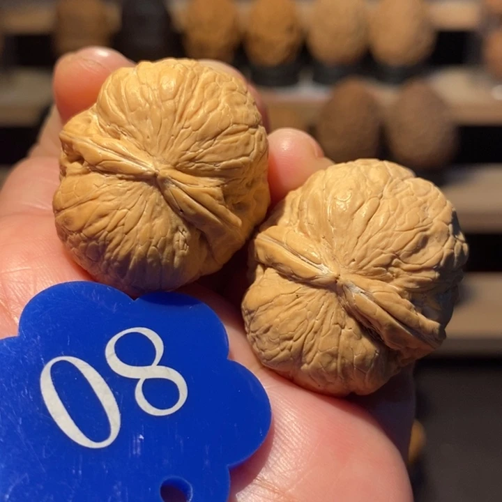 木质类瓷娃娃34尺寸，宠粉福利