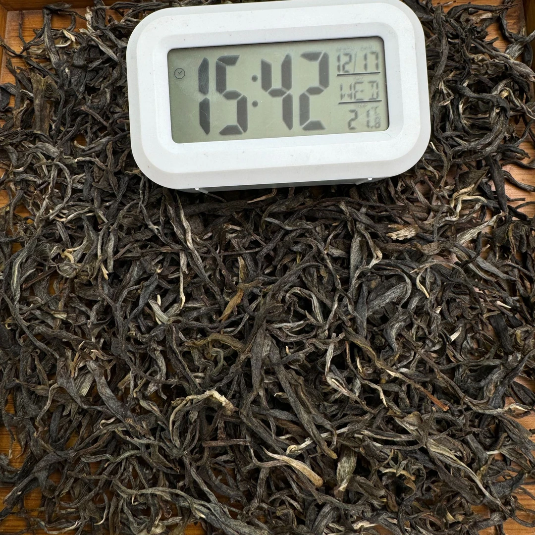 2025年·头春 镇康岩子头单株·普洱茶生茶·散茶-【236号】12-17