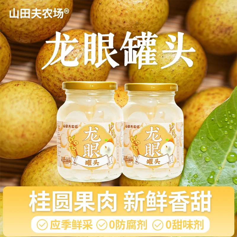 龙眼罐头418g*2罐水果罐头福建桂圆肉厚饱满养生清甜新鲜大罐