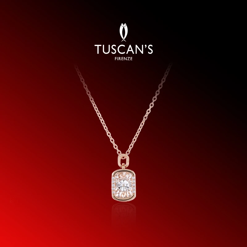 TUSCAN'S 铜锆石项链 气质款长方形灵动镶钻锁骨链精致项链