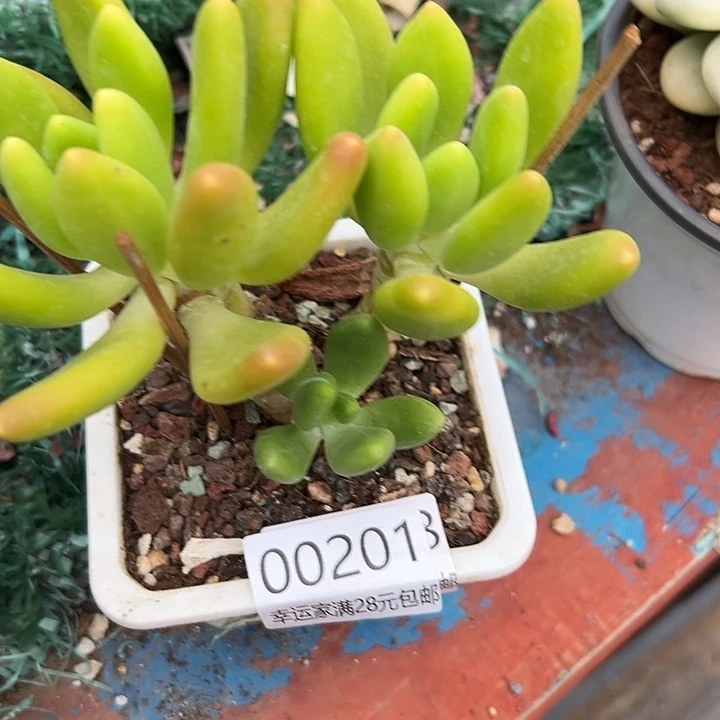 幸运的是我还没遇到