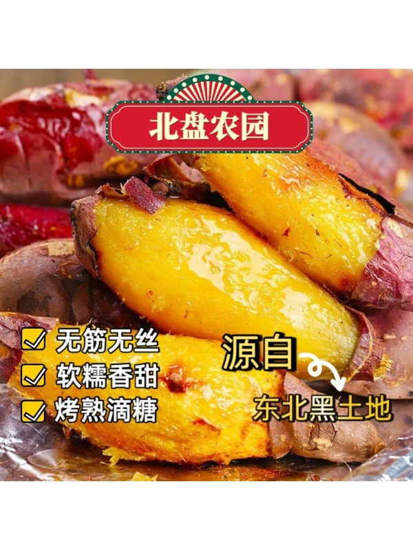 [路遇专属]北盘农园锦田蜜薯沙地黄心糖心蜜甜无根无丝红薯番薯