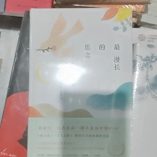 最漫长的思念精装