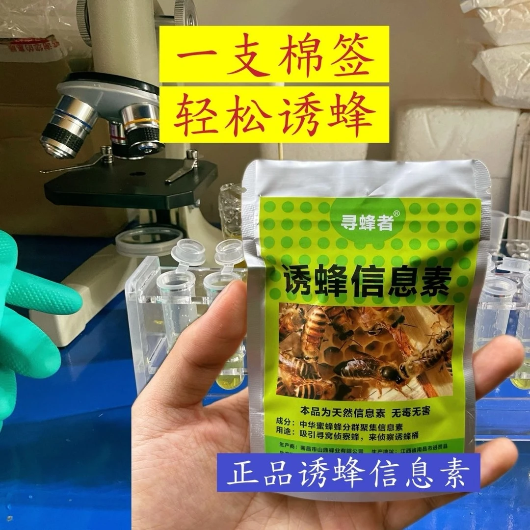 寻蜂者品牌诱蜂信息素大诱芯有效期60天专业诱侦查蜂诱蜂水诱蜂膏