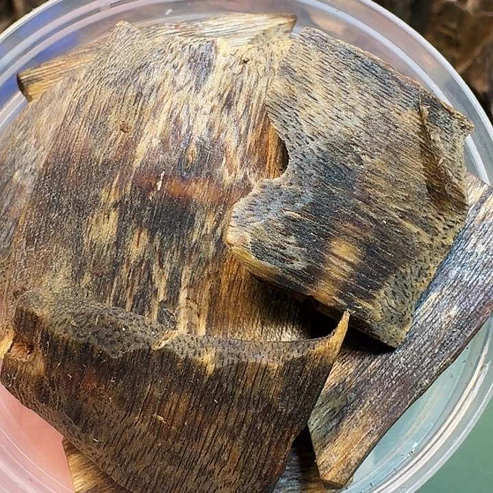 用***9沉香沉香碎屑海南高端陆河树心油老料32克