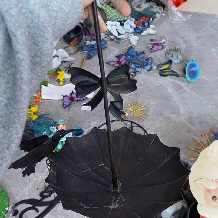 户外园艺植物花卉孤品微瑕疵