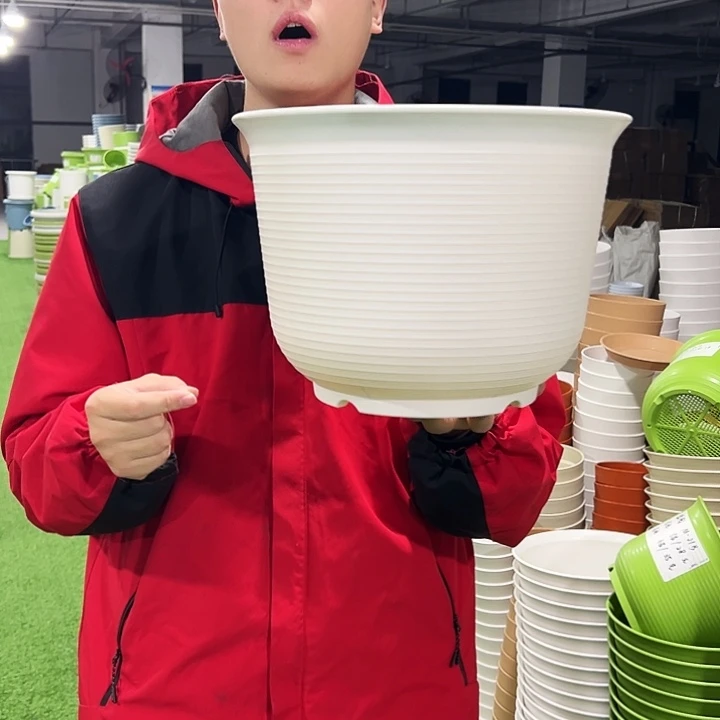 正品矮陶口30高21白色5只无托