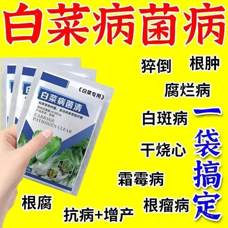 白菜甘蓝防腐包心剂专用肥料叶面肥调节剂软腐病微生物菌剂病菌清