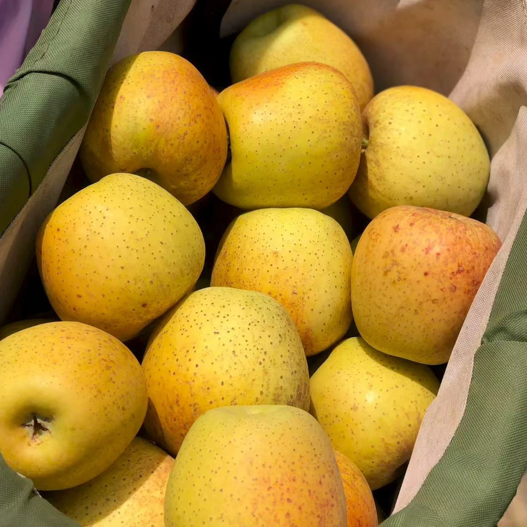 云南高山丑维纳斯苹果脆甜外观丑宝藏好物礼盒装四维纳斯黄金苹果