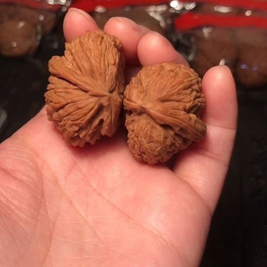 把件文玩核桃白狮子半壁江山