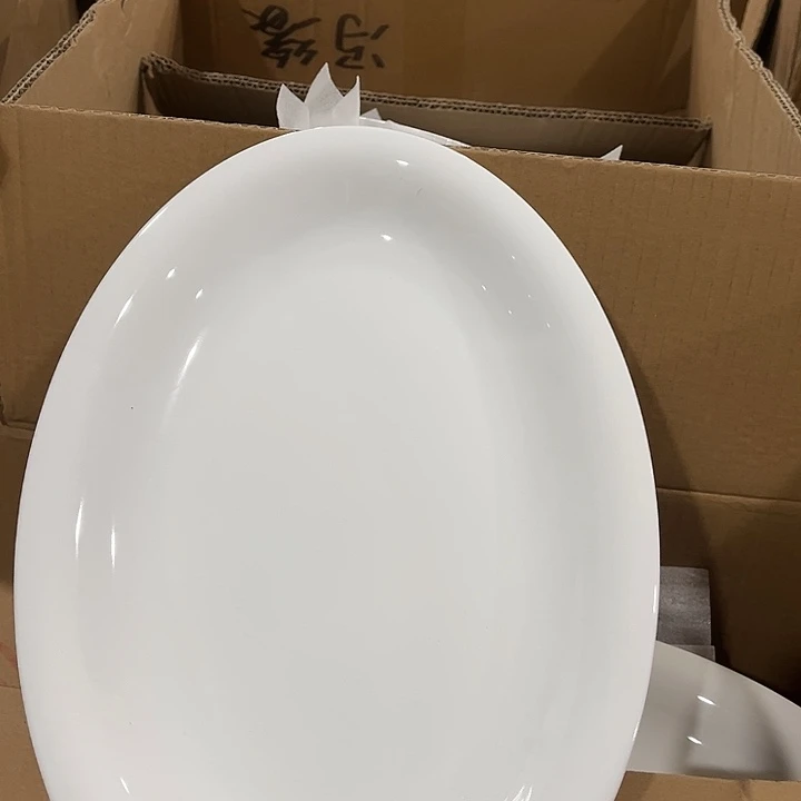 瓷片云白12英寸鱼盘一个微瑕包邮