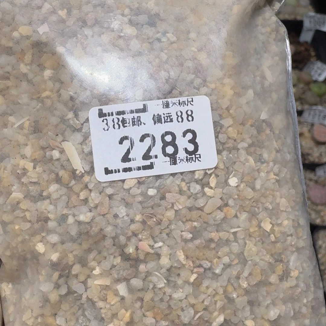 zzzzz精品生石花2283